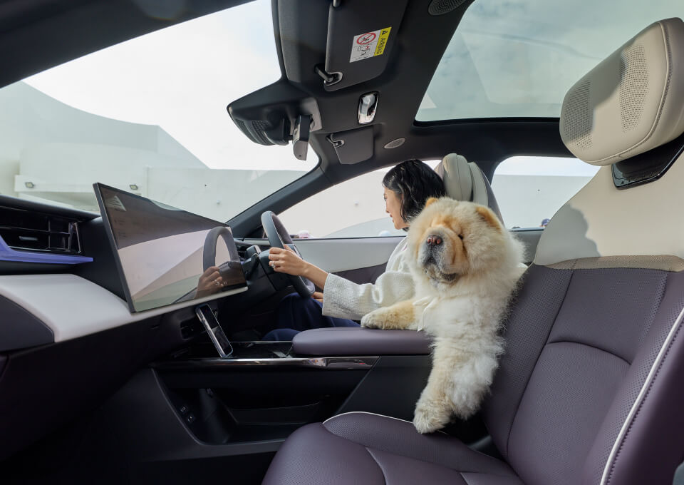 เป็นส่วนหนึ่งของ <span class='nowrap'>MAZDA</span> FAMILY