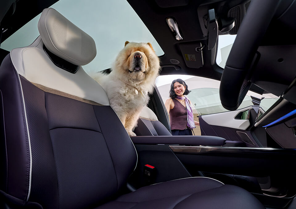 เป็นส่วนหนึ่งของ <span class='nowrap'>MAZDA</span> FAMILY