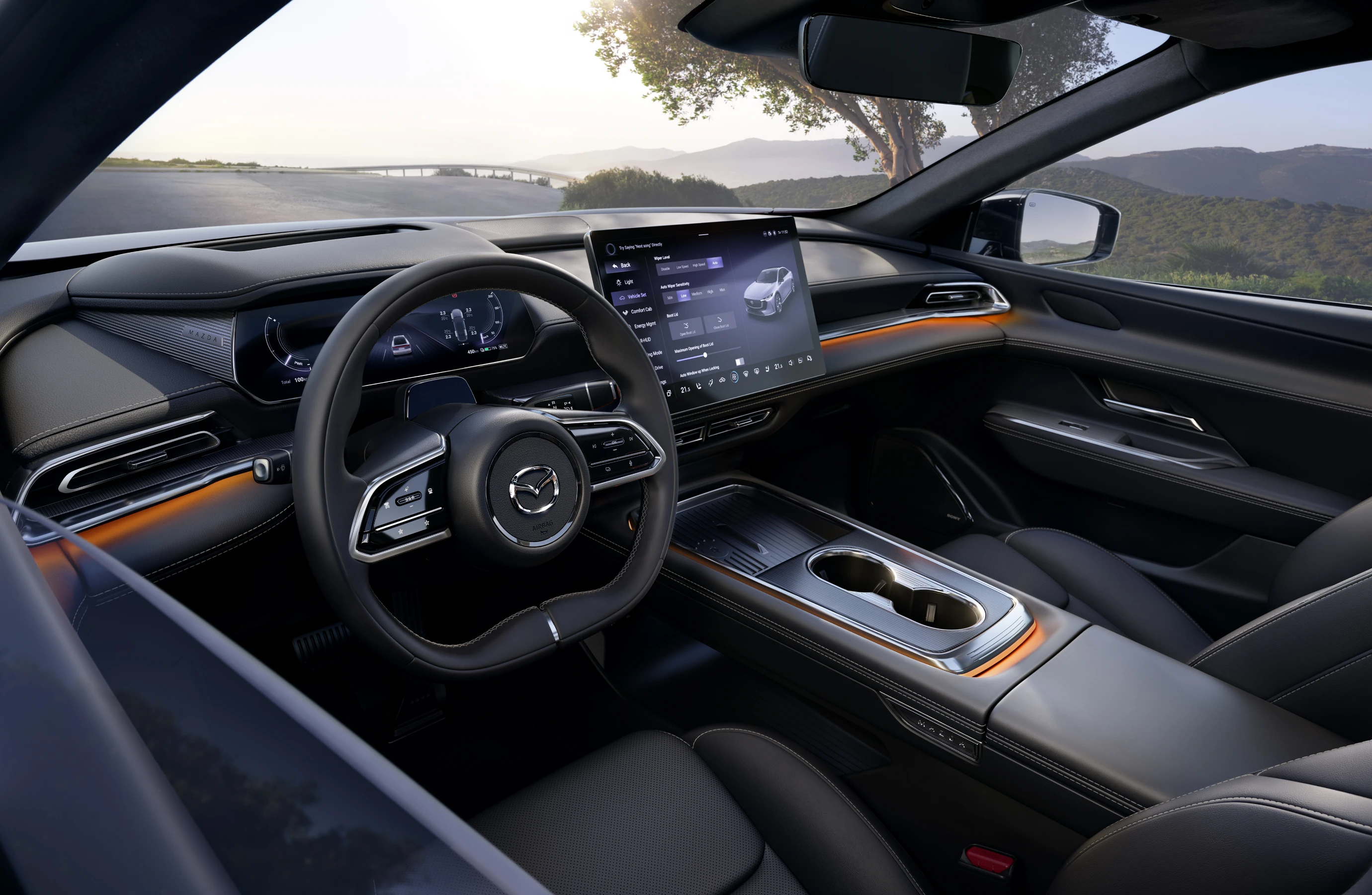 Picture of the author