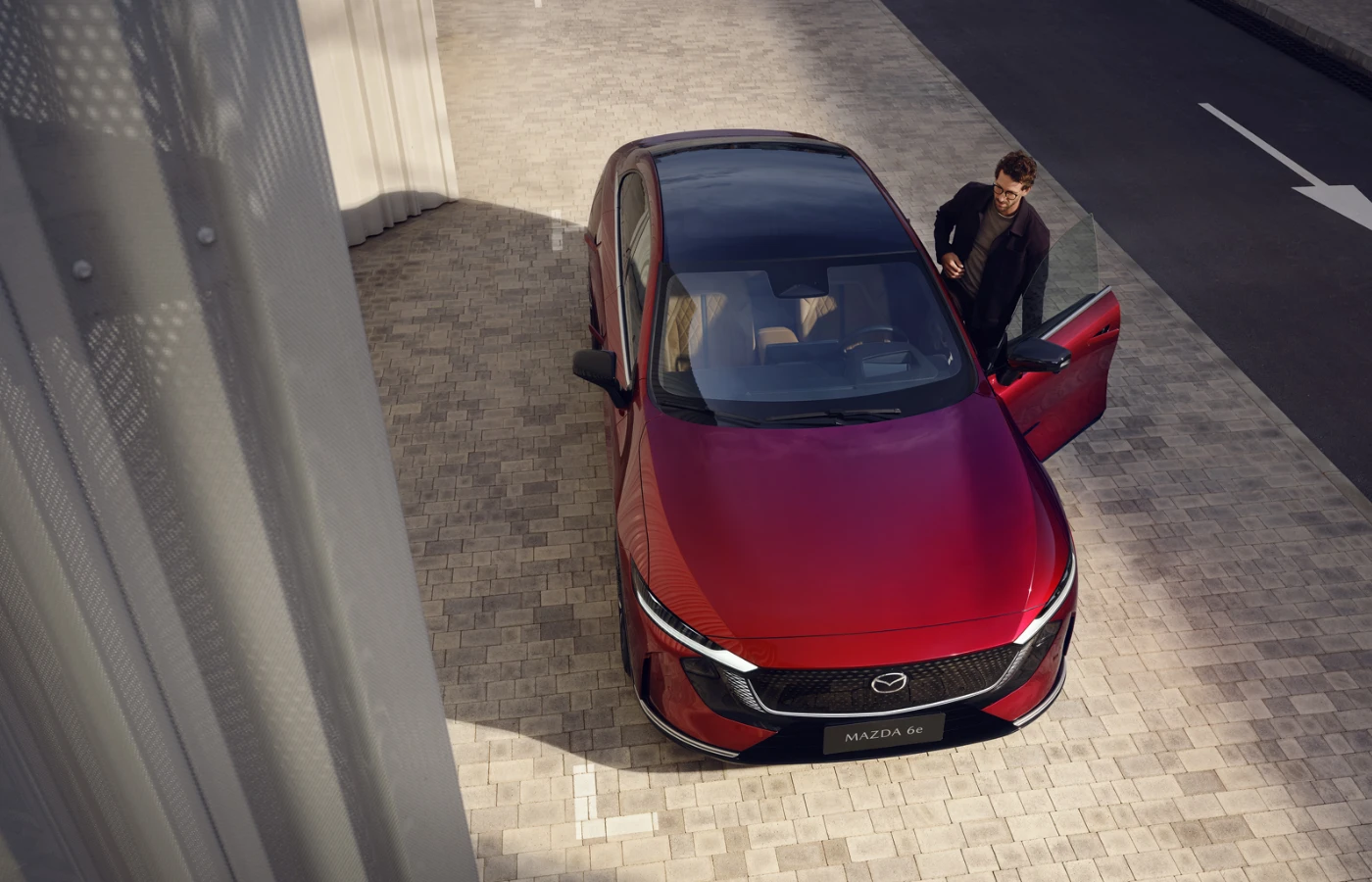 Picture of the author