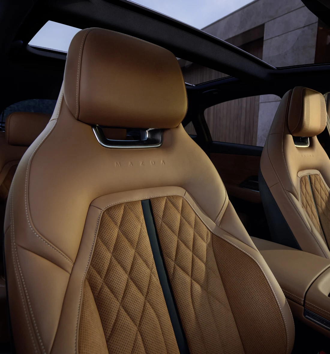 PANORAMIC GLASS ROOF